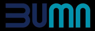 BUMN